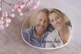 foto stein