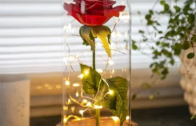 Ewige Rose im Glas mit Gravur